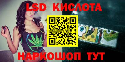 дмт Бийск
