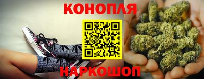 дмт Бийск