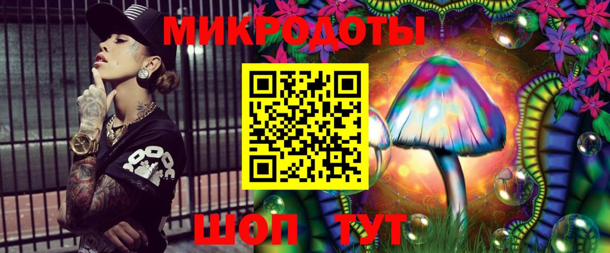 Псилоцибиновые грибы Psilocybine cubensis  Вход с VPN  Карталы 
