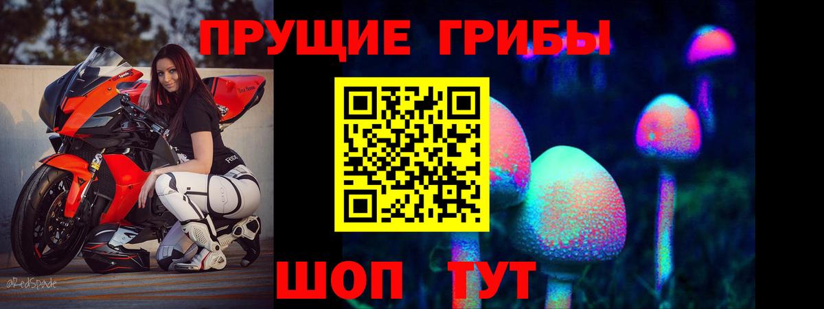 Псилоцибиновые грибы MAGIC MUSHROOMS Карталы